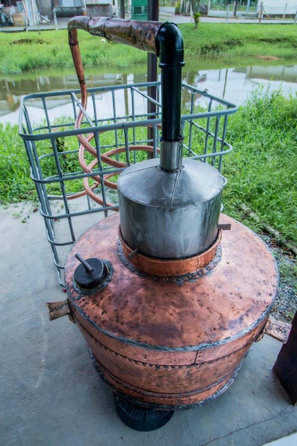 Вілла Casa Do Tesouro Жоїнвіль Екстер'єр фото